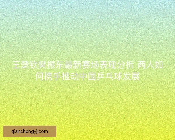 王楚钦樊振东最新赛场表现分析 两人如何携手推动中国乒乓球发展