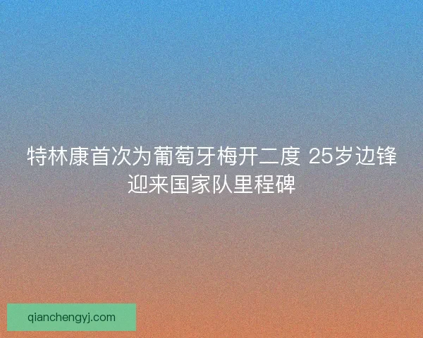 特林康首次为葡萄牙梅开二度 25岁边锋迎来国家队里程碑 特林康首次为葡萄牙梅开二度 25岁边锋迎来国家队里程碑