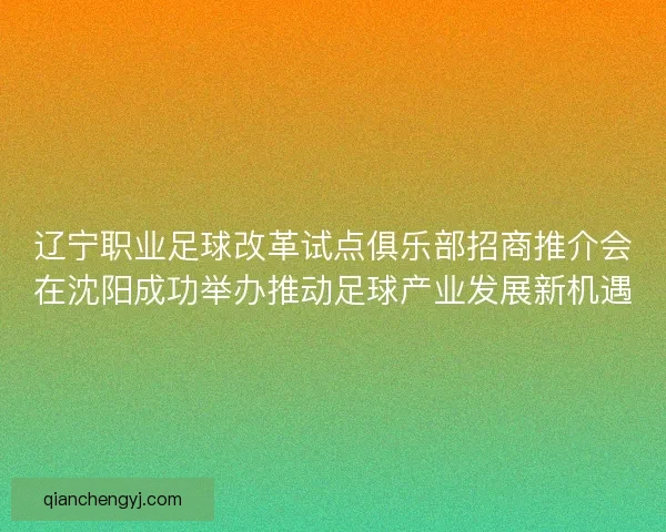 辽宁职业足球改革试点俱乐部招商推介会在沈阳成功举办推动足球产业发展新机遇